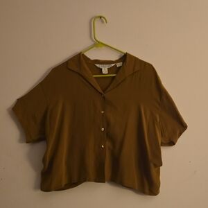 Elegant Brown Button-Down Silk Shirt for Women.